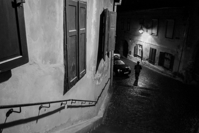 Alina Iliuță - Căutarea.jpg